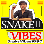 SnakeVibes