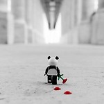 Funny videos