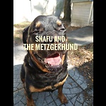 SNAFU
