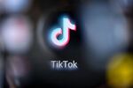 MIXED VIDEOS  ANIMAL'S TIK TOK ACCIDENT ....