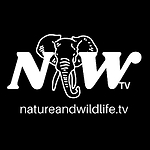 Nature and Wildlife TV