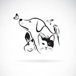 Wild Animals