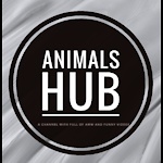 Animals Hub