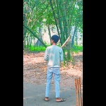 Sports and cricket