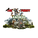THE FURRY ANIMAL