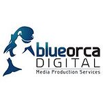 Blue Orca Digital TV