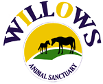 Willows Animal Sanctuary