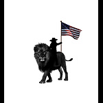 Liberty 4 Bella
