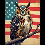 Liberty Owl