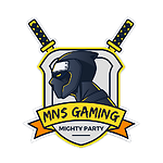 MNSgaming