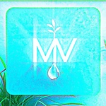 Misty Vibes | Relax, Refresh & Reconnect