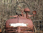 Farmall and Cub Cadet