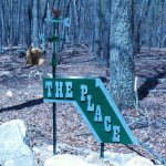 The Place