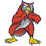 Oklahoma City Owls