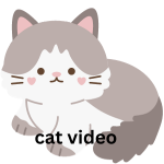 cat video