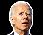 The Biden Files