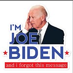 Joe Biden Flash Backs