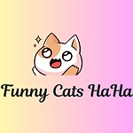 Funny Cats HaHa