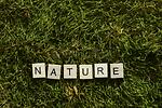 Nature : A view that is unspoiled or untouchable by human activity, often associated with remote or wild areas.