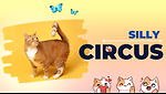 SillyCircus