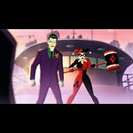 Bird Mafia Time Lapses