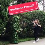 bushman prank