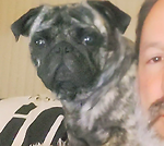 OurPugs