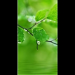 Beauty of nature