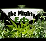 The Mighty Erb