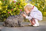 We show funny, cute and positive videos about pet human relationship.