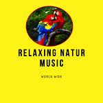 RELAXING NATUR MUSIC WORLD WIDE