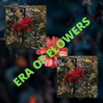 Era of flowers