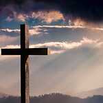 Prayer Pulse - Daily Devotionals