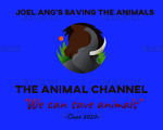 The Animal Channel