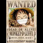 One Piece TV Series