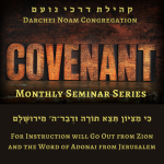 Kehilat Darchei Noam ~ Monthly Seminar Series