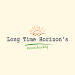 Long Time Horizon's Homesteading