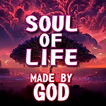 Soul Of Life - Made By God