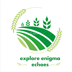 exploreenigmaechoes