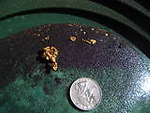 Gold panning adventures