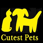 Cutest Pets