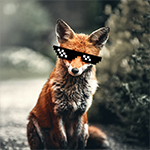 Dinopetz