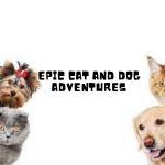 Epic Cat and Dog Adventures