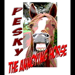 Pesky the Annoying Horse