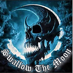 Swallow The Moon - Band