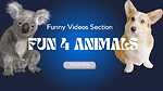 Fun4Animals