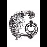 Gûngen | Ropörtajlar