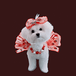 Dogs And Puppies Videos