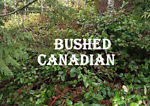 Bushcraft Canadian Wilderness