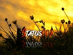Status
